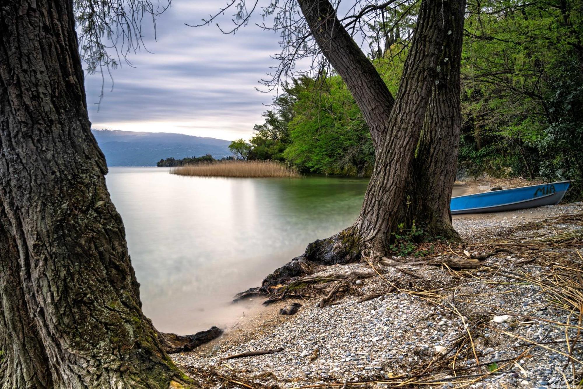 San Carlo Appartamenti Vacanze 索亚诺·德尔·拉戈 外观 照片